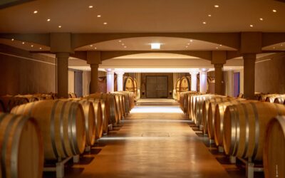 Chai de vieillissement du Château de Lastours avec barriques alignées sous voûtes éclairées