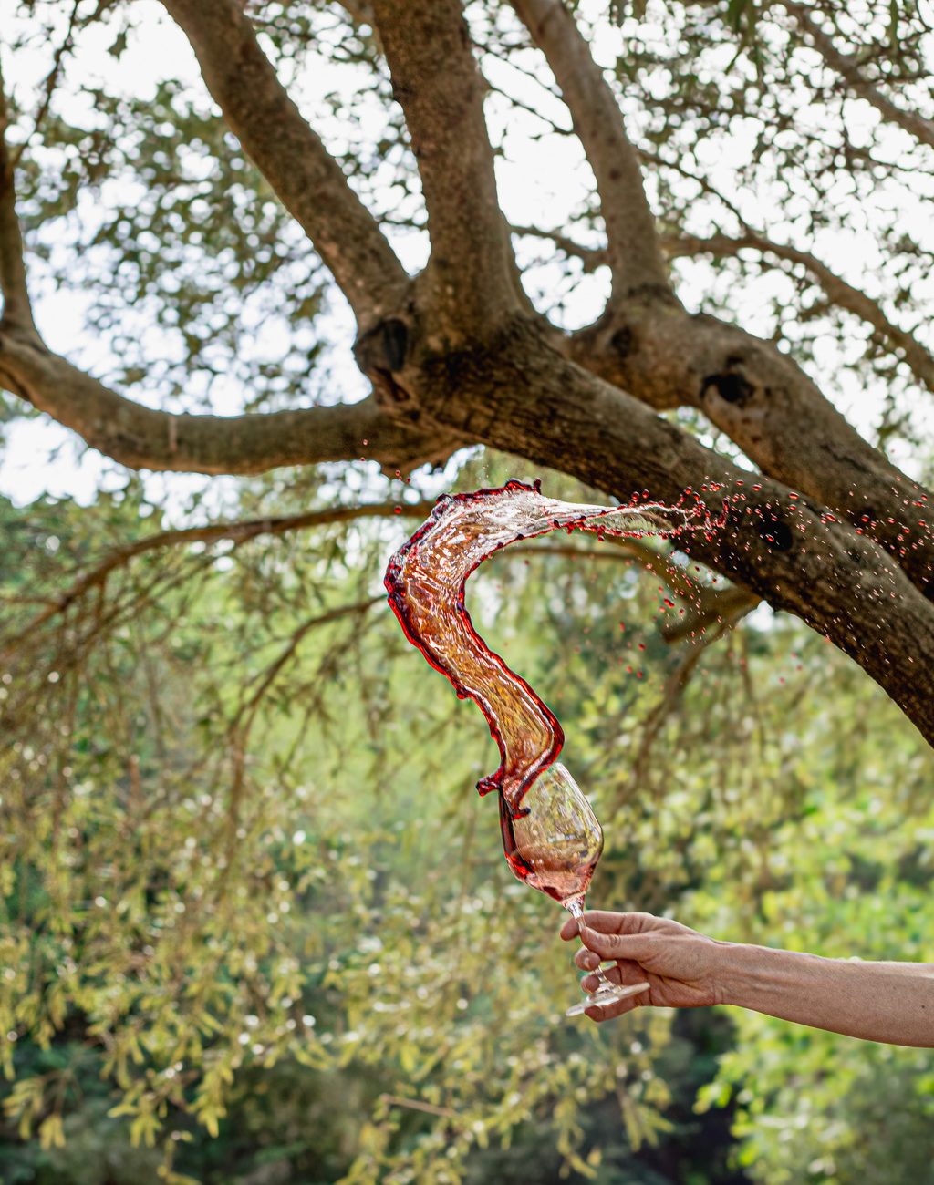 Vin rouge éclaboussant en vol depuis un verre tenu à la main sous un arbre, dans un cadre naturel