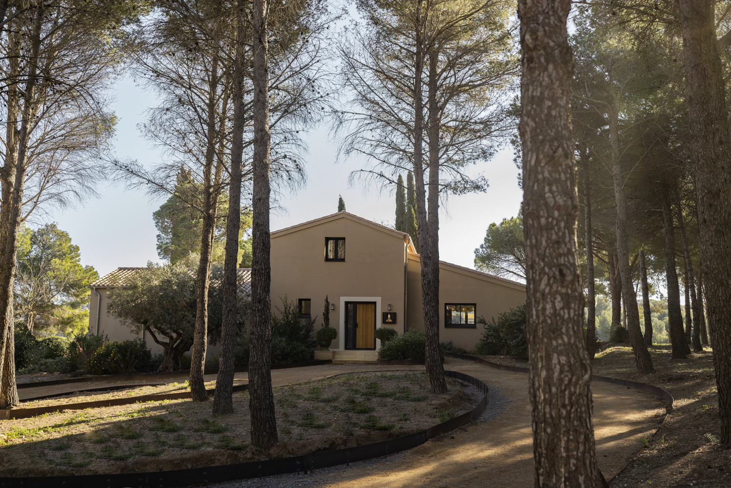 CHATEAU DE LASTOURS Villa Location les pins Extérieur