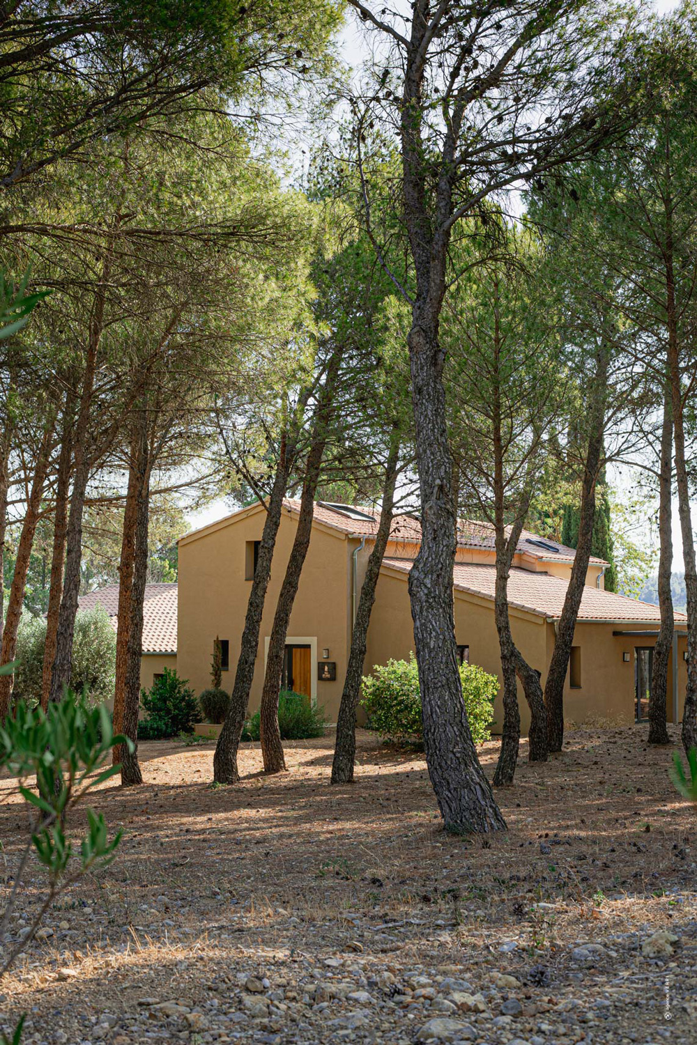 Villa a louer sous les pins en Languedoc