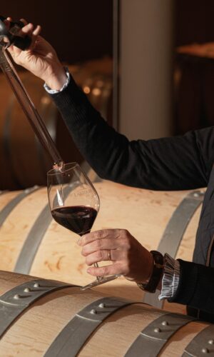 Barriques Vin Chateau Visite Degustation