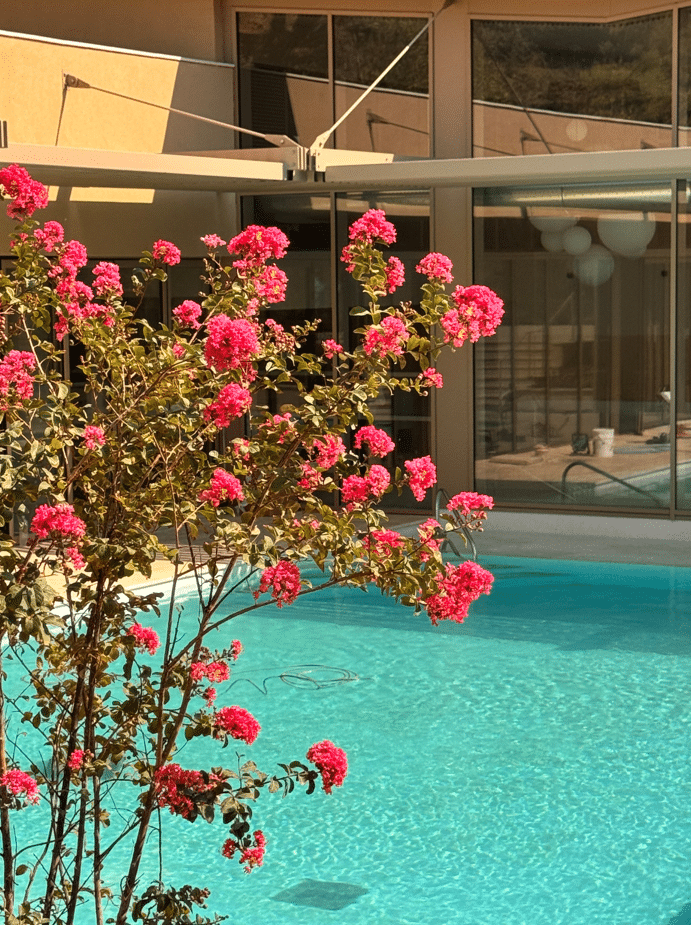 Piscine Extérieure Chateau De Lastours Hotel 4 étoiles BD